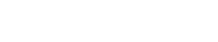 The Anderson Logo